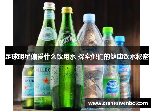 足球明星偏爱什么饮用水 探索他们的健康饮水秘密