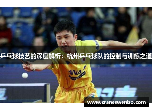 乒乓球技艺的深度解析：杭州乒乓球队的控制与训练之道