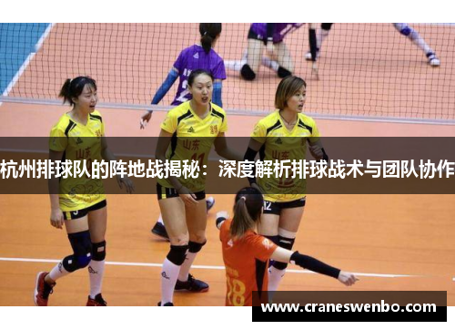 杭州排球队的阵地战揭秘：深度解析排球战术与团队协作