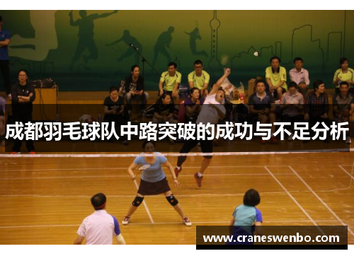 成都羽毛球队中路突破的成功与不足分析