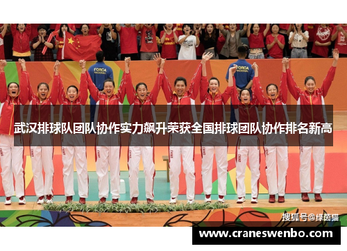 武汉排球队团队协作实力飙升荣获全国排球团队协作排名新高
