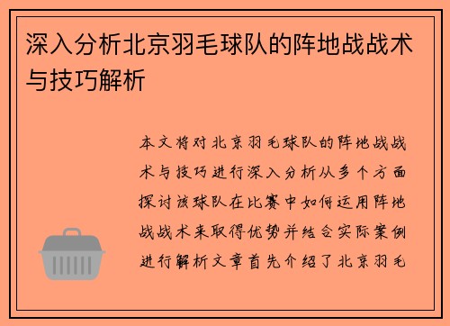深入分析北京羽毛球队的阵地战战术与技巧解析