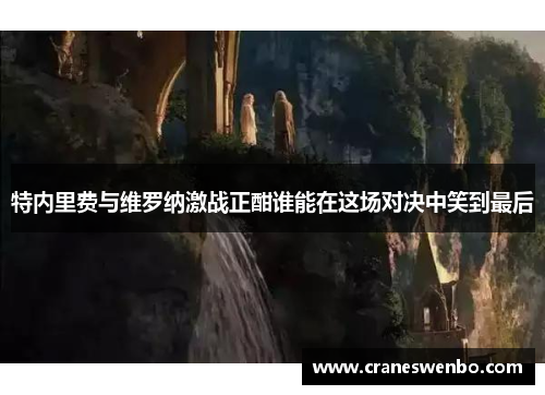 特内里费与维罗纳激战正酣谁能在这场对决中笑到最后